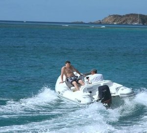 THE BIG DOG - Tender