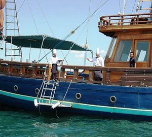 Tiger Blue -  Boarding