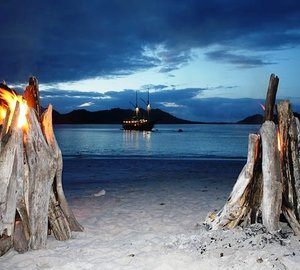 Tiger Blue -  Bonfire on the Beach