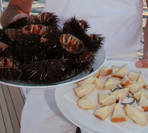 Yacht DELHIA -  Service