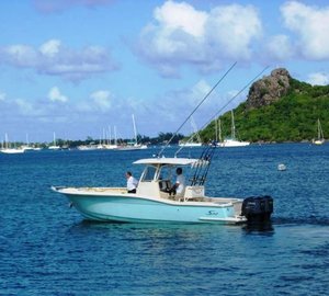 Yacht Paladin Tender