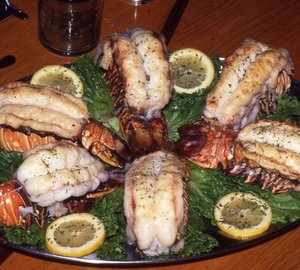 25m Sailing yacht TABOO