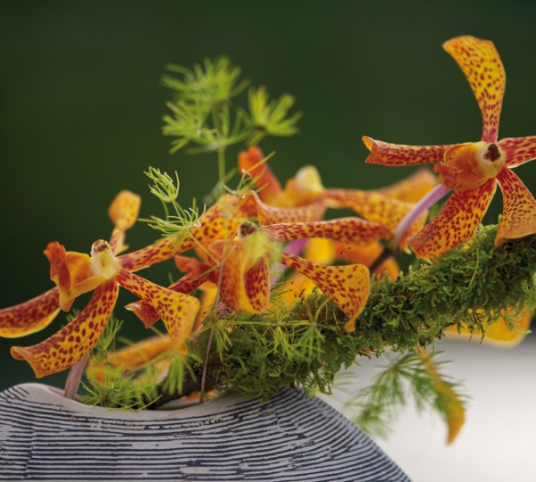 Miss Kulani yacht - Photo by Tim McKenna Photography©