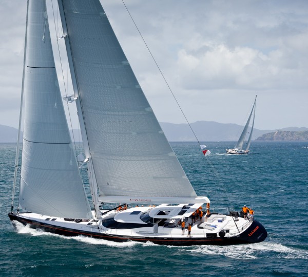 Bliss chasing Janice of Wyoming – credit Jeff Brown