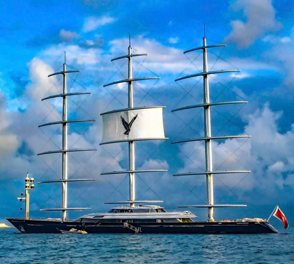 Maltese Falcon spotted in St Maarten 