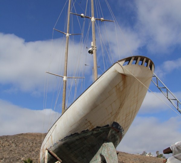 AILE BLANCHE - Out of the Water