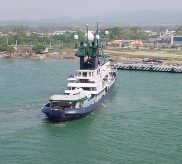 Arctic P - Photo Credit F Caspers