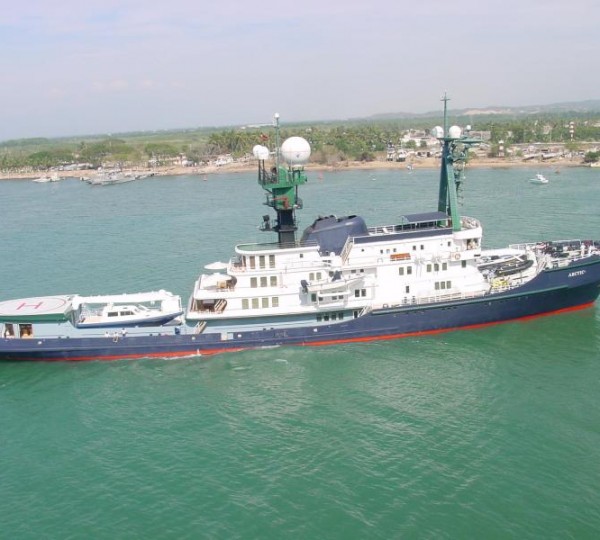 Arctic P - Photo Credit F Caspers