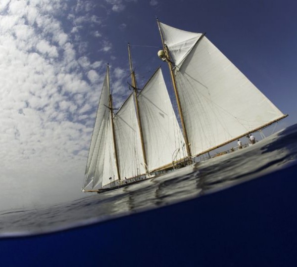 SHENANDOAH - Photo credit Rolex - Kurt Arrigo