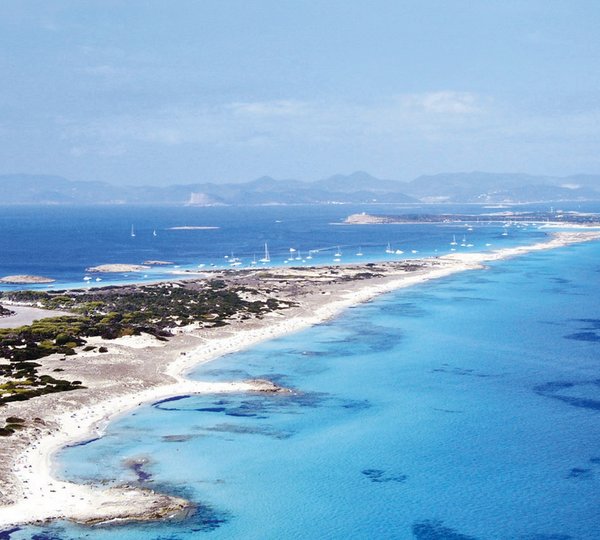 Gecko Beach Formentera Spain
