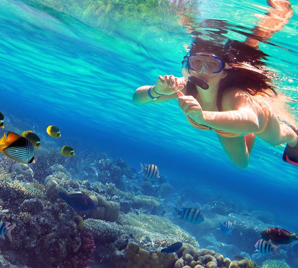 Snorkeling In The Red Sea