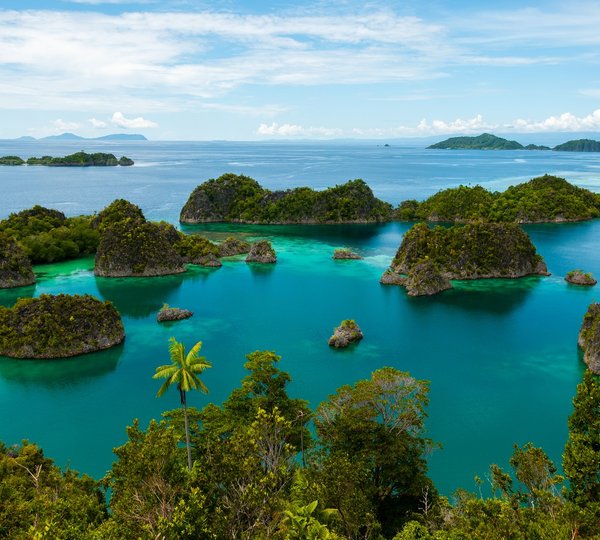 Islands Of Fam Island In The Sea Of Raja Ampat, Papua New Guinea