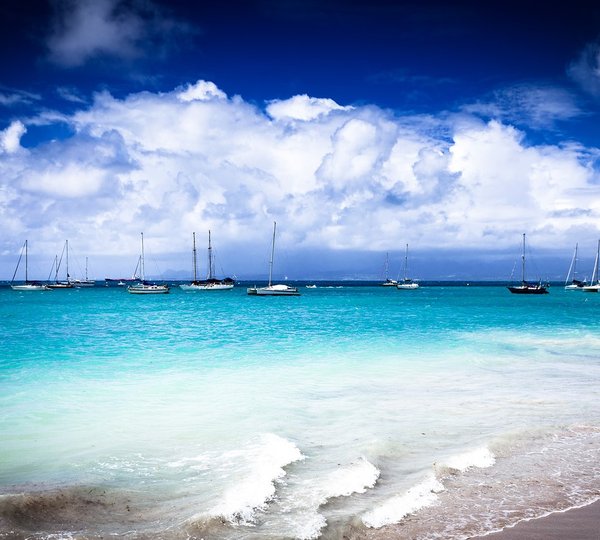 Caribbean Beach In Guadeloupe