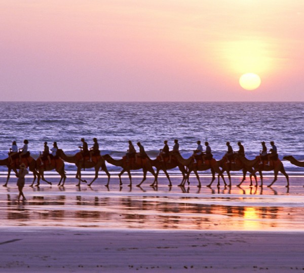 The Kimberley - Camel Rides - Credit to Tourism Australia - Photo by Oliver Strewe