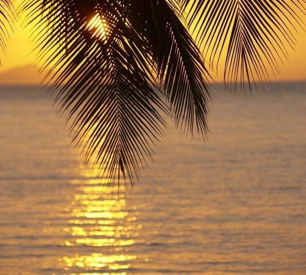 The 21m Yacht HIGH ASPECT