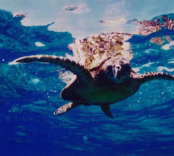 The 21m Yacht HIGH ASPECT