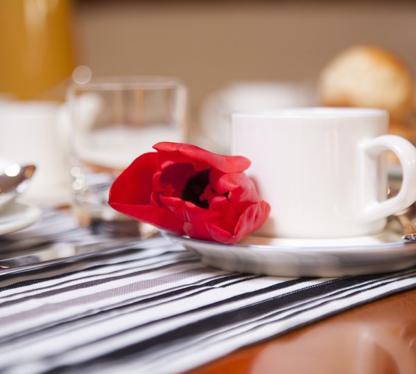 The 25m Yacht CALLISTO