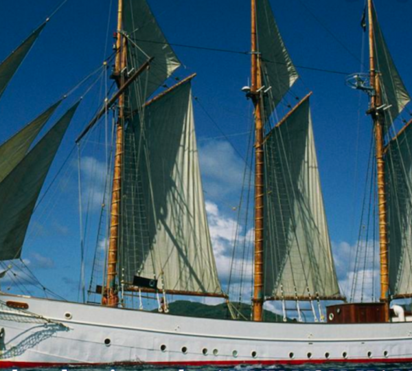 Yacht Preview