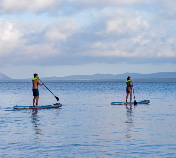 Playzone Area With Water Toys