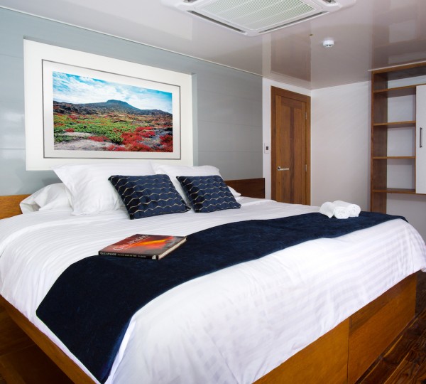 Guest Cabin - Double