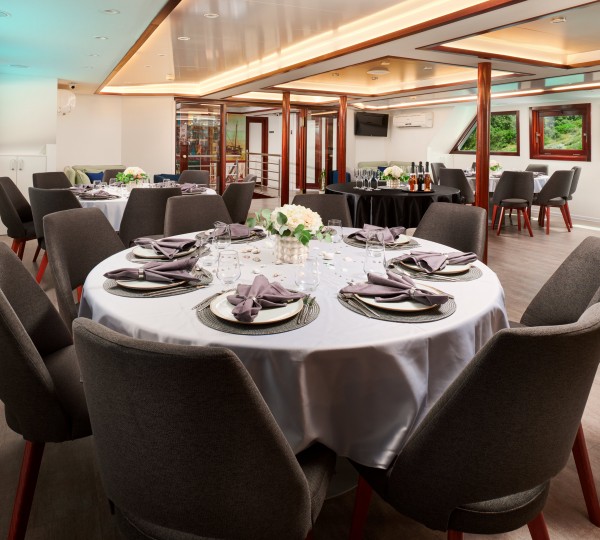 Elegant Dining Set Up