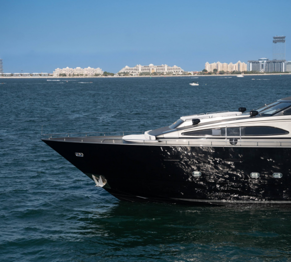 Open Sundeck Preview