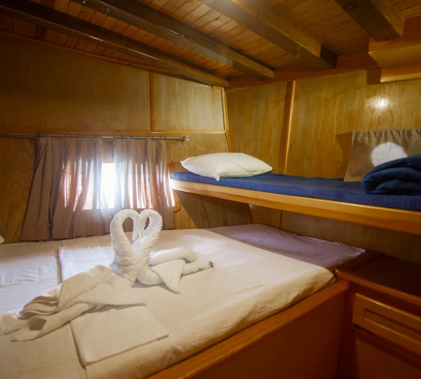 Guest Cabin