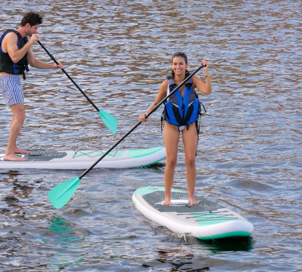 Paddle Boards