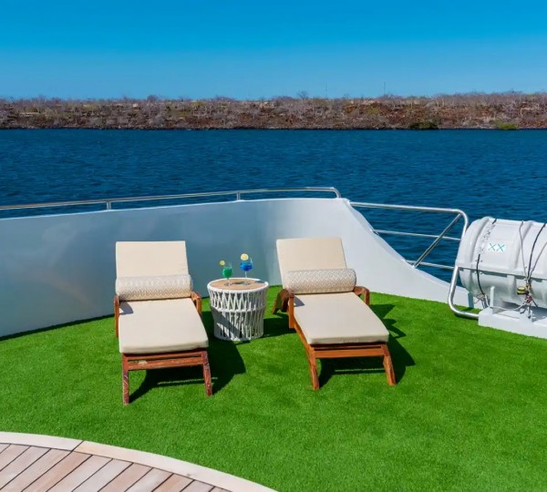 Exterior Relaxation Area