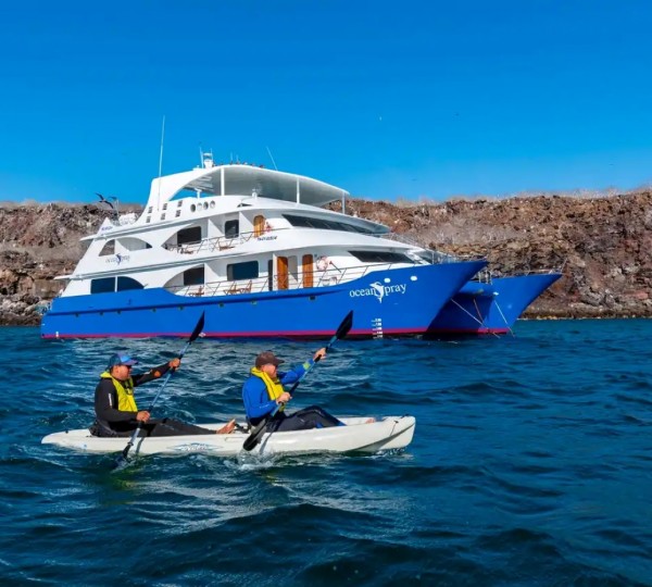 Playzone Area With Water Toys