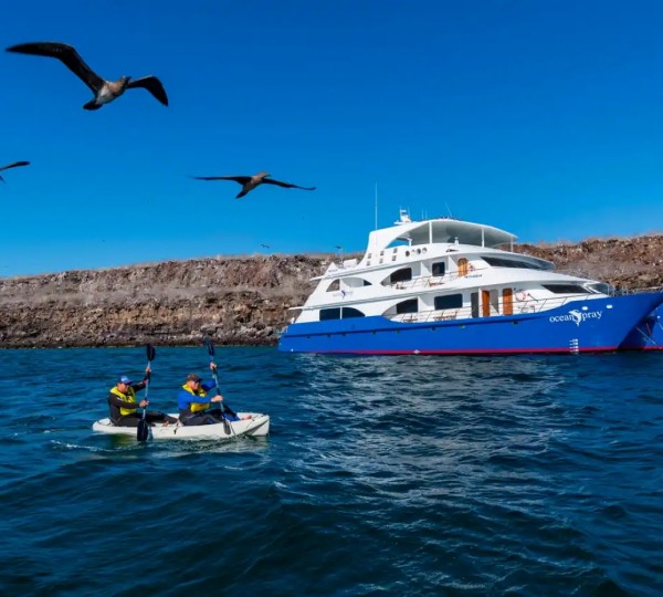 Playzone Area With Water Toys