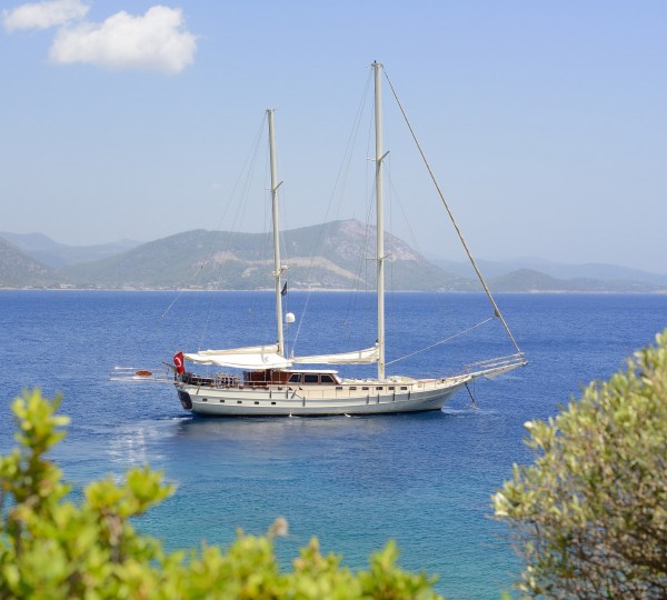 S/Y COBRA III - Main shot