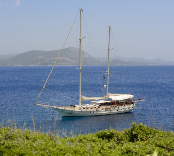 S/Y COBRA III - Anchored