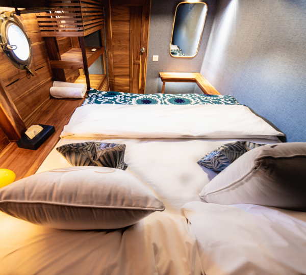 Guest Suite