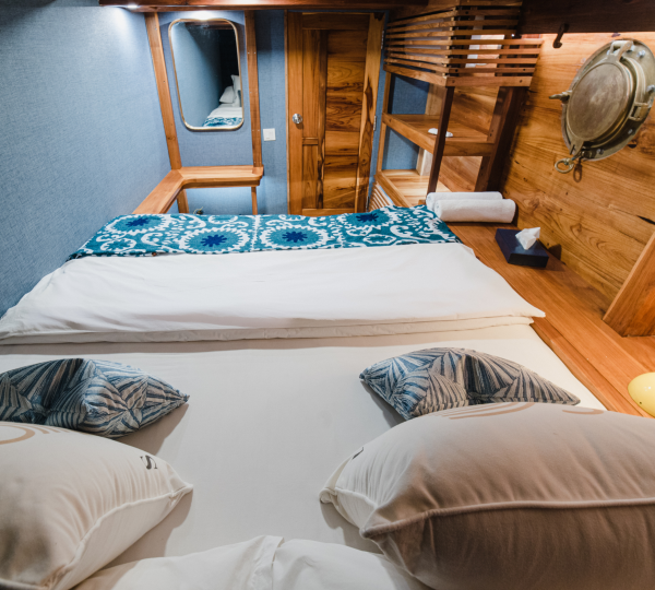 Guest Suite