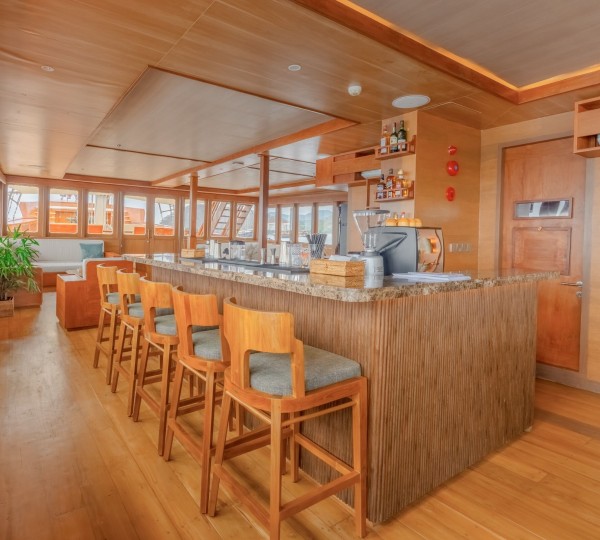 Main Salon Sit Up Bar