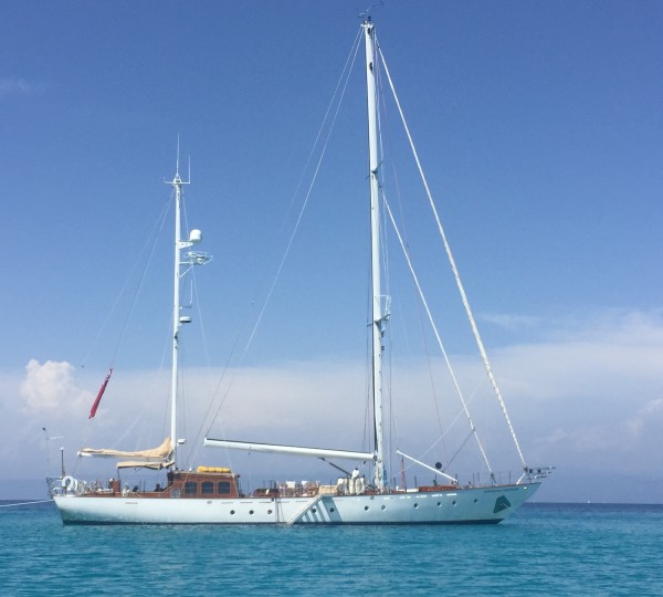 WINDWEAVER OF PENNINGTON Profile