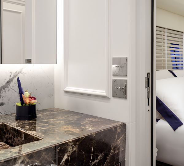 Master Stateroom Wash Area