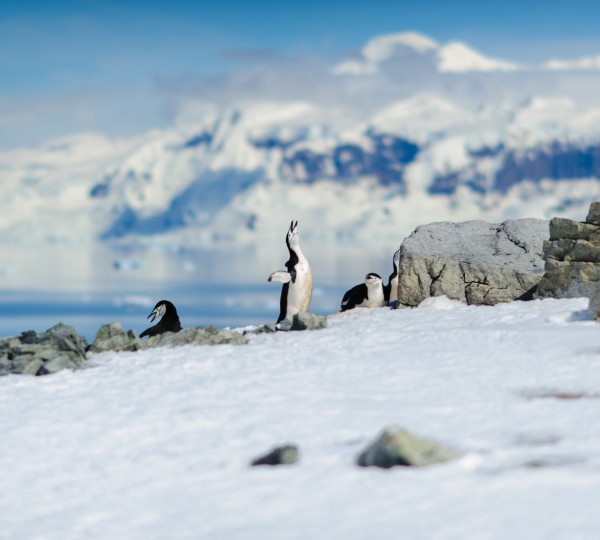 ©ReeveJolliffeEYOS- Hanse Explorer Yacht
