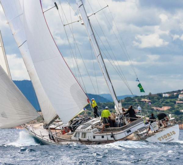 Sailing Yacht TIGRIS