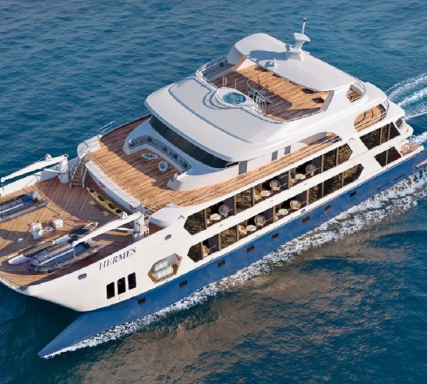 Motor Catamaran HERMES