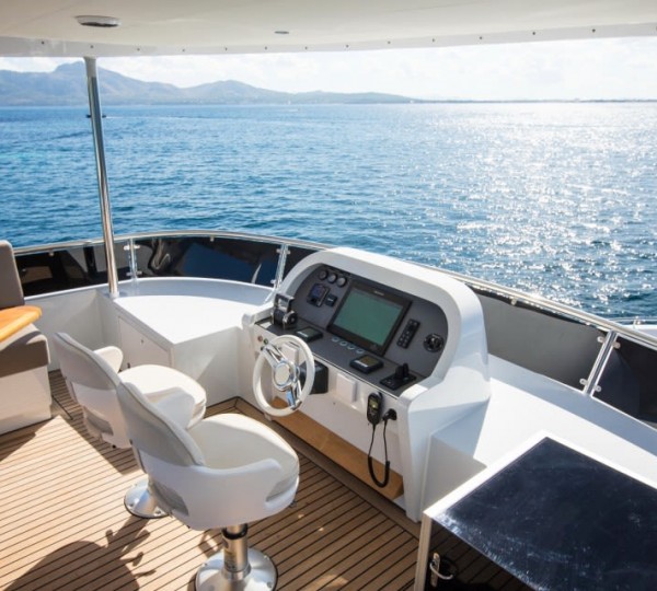 Flybridge helm controls