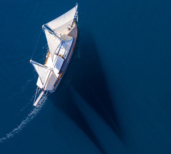 ANDI STAR Aerial View