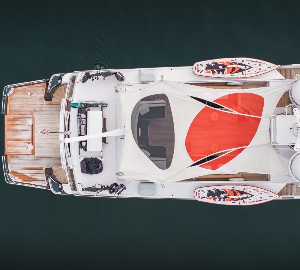 Custom Painted Bimini