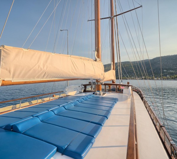 Sunbathing On The Roof