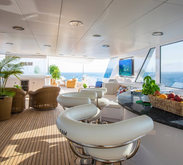 Sit Up Bar On The Sun Deck