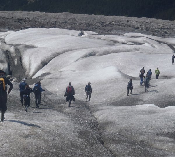 Glacier Trek