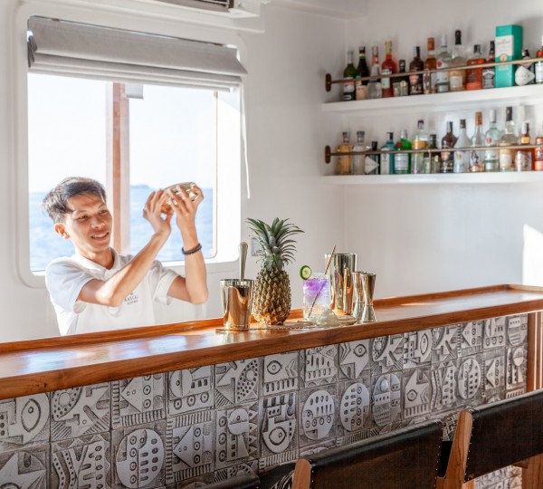 Mixologist At The Bar