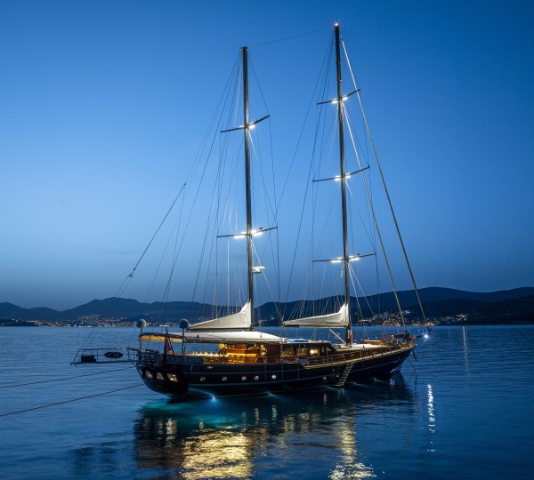 PERFORMANCE FEE At Night