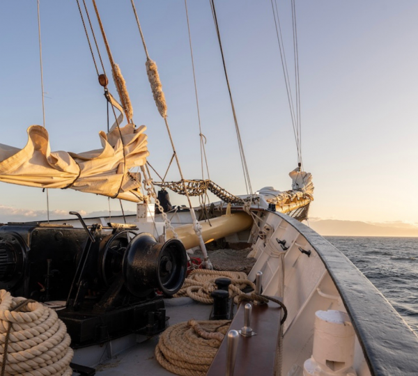 Anchor Rigging Area